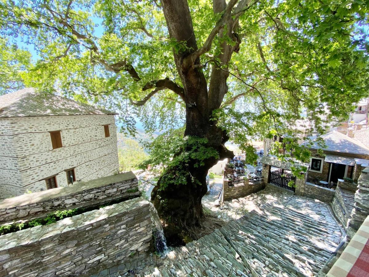 Archontika Karamarlis Hotel Makriníca Kültér fotó